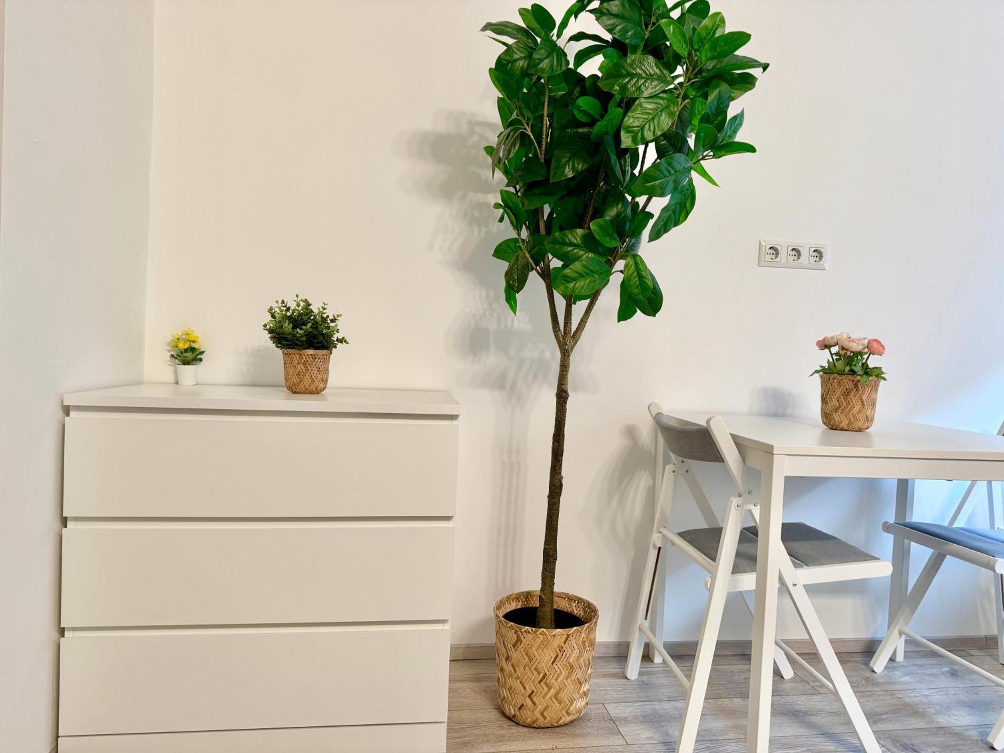 Stylish Schonbrunn Apartments - Free Underground Parking Відень Екстер'єр фото