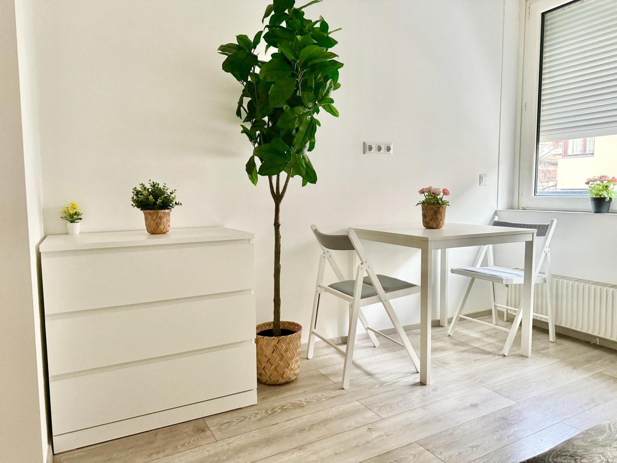 Stylish Schonbrunn Apartments - Free Underground Parking Відень Екстер'єр фото