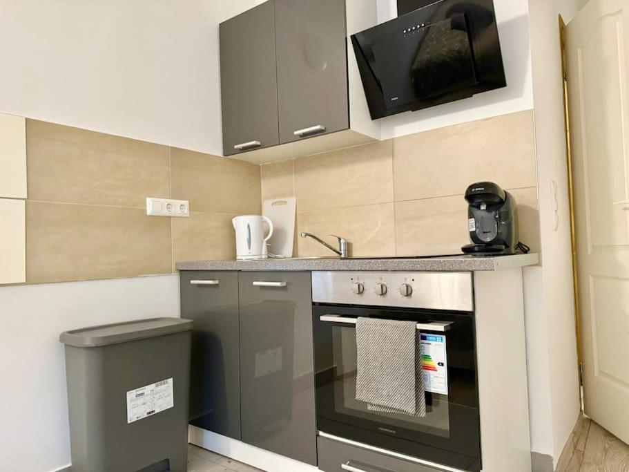 Stylish Schonbrunn Apartments - Free Underground Parking Відень Екстер'єр фото