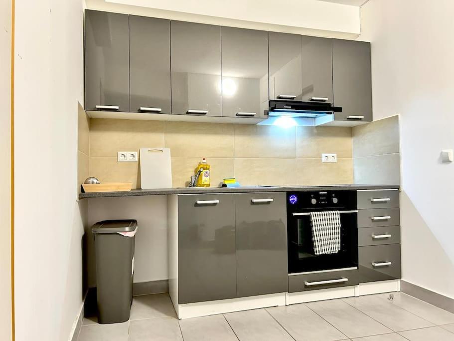 Stylish Schonbrunn Apartments - Free Underground Parking Відень Екстер'єр фото