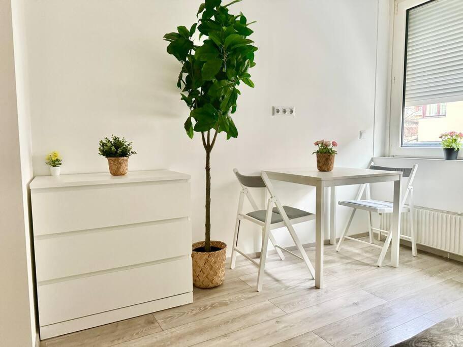 Stylish Schonbrunn Apartments - Free Underground Parking Відень Екстер'єр фото